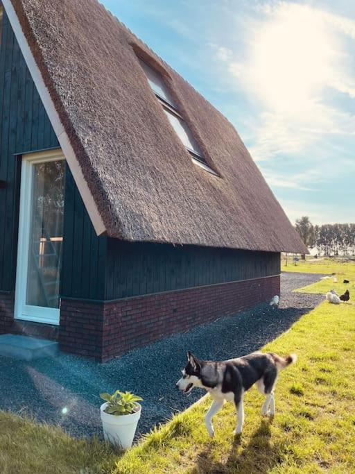 Cozy Appartment On The Farm Loenen aan de Vecht Bagian luar foto