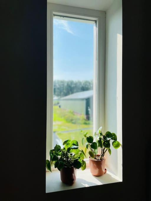 Cozy Appartment On The Farm Loenen aan de Vecht Bagian luar foto